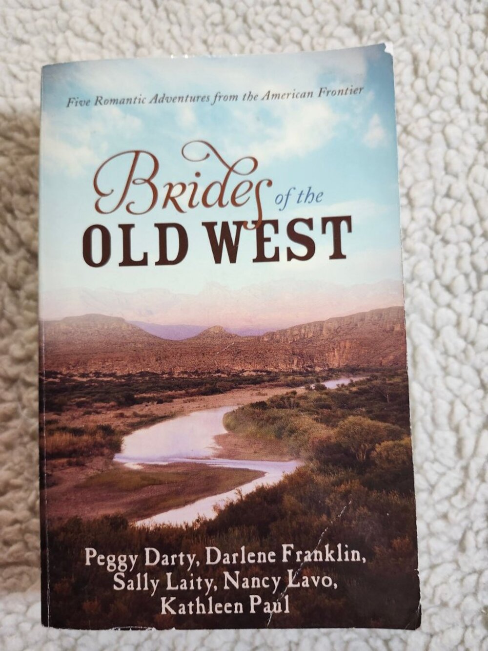 Brides of the Old West Paperback Peggy Darty Darlene Franklin Sally Laity Used